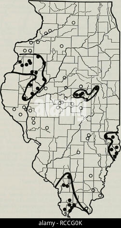 . La distribution des cigales dix dans l'Illinois. Cigale périodique. est un possible 1 ans début de l'émergence de l'an- 17 Northern Illinois Brood (Marlatt XIII) de 1905. 1932. Urbana, Champaign Comté, Ph.d.' Woods, le 6 septembre. Direction générale des Rocheuses, Clarksville, comté de Clark, le 24 juin. Ce sont peut-être 1 ans- au début de l'emergences 13 ans Great Southern Brood (Marlatt XIX) de 1933. 1957. Sullivan, Moultrie Comté, "à la fin de saison", H. B. Cunningham, six spécimens. C'est éventuellement un P/2 ans, début de l'émergence des 13 ans de Great Southern Brood (Marlatt XIX) de 1959. 1969 Banque D'Images