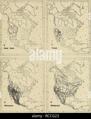 . La distribution des mammifères marins dans le Colorado. Les mammifères. 1972 ARMSTRONG : COLORADAN 353 mammifères. Veuillez noter que ces images sont extraites de la page numérisée des images qui peuvent avoir été retouchées numériquement pour plus de lisibilité - coloration et l'aspect de ces illustrations ne peut pas parfaitement ressembler à l'œuvre originale.. Armstrong, David M. Lawrence, Kan.  : Service d'impression de l'Université du Kansas Banque D'Images