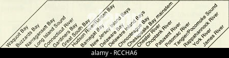 . Distribution et l'abondance de poissons et d'invertébrés à la mi-Atlantique les estuaires. Les estuaires -- Côte Atlantique (U. S. ) ; -- les animaux dans les estuaires de la côte atlantique (U. S. ) ; Pêches -- Côte Atlantique (U. S. ) ; Poissons -- Côte Atlantique (U. S. ) ; -- Pêches estuariennes Côte Atlantique (U. S. ). Tableau 6. Indice de fiabilité des données au tableau 6. La page Emplacement de la fiabilité des données le tableau pour chaque espèce et de l'estuaire.. Moule bleue Mytilus {^ eduli iiradians {pétoncles Baie Argopecten) L'huître américaine (Crassostrea virginica) Mercenaha {quahog nordique mercenaria) la mye (Mya arenaria) crevette (Penaeus un Banque D'Images