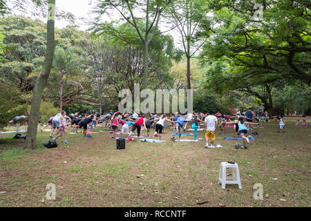 Groupe des personnes s'exercent sous les arbres, dans un parc public, le parc Ibirapuera, Sao Paulo, Brésil Banque D'Images