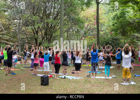 Groupe des personnes s'exercent sous les arbres, dans un parc public, le parc Ibirapuera, Sao Paulo, Brésil Banque D'Images