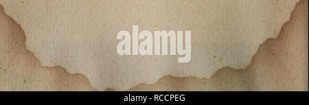 . De Dong Zhi wu sheng huo yuan zhong de wei liang tian ran su he fang yuan xing elle su. botanique. . Veuillez noter que ces images sont extraites de la page numérisée des images qui peuvent avoir été retouchées numériquement pour plus de lisibilité - coloration et l'aspect de ces illustrations ne peut pas parfaitement ressembler à l'œuvre originale.. Liu Zhong yu (Yi). ke xue chu ban elle Banque D'Images