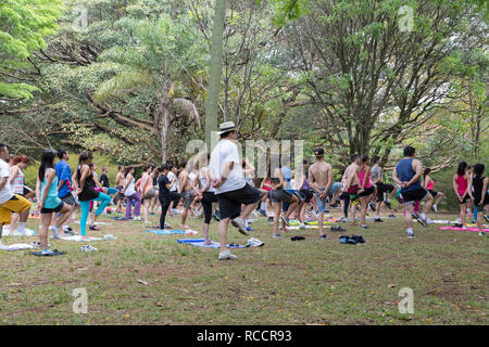 Groupe des personnes s'exercent sous les arbres, dans un parc public, le parc Ibirapuera, Sao Paulo, Brésil Banque D'Images