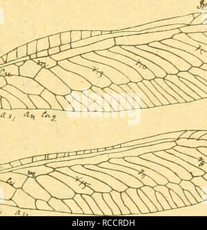 Fia Euclimacia 4ralia Ni Ae E C Ae A C A Ae A Ae E Ea Aº A E Ae Ae E Ae A A ae A A A Ca A A ma Tispa 4 Tubercul V a Vcstw A C Oa E E aaaaa Aªaa A A A A E A A C A a Ae C Aªaa A A C A A Aªa Ka Ae C