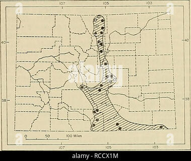 . La distribution des mammifères marins dans le Colorado. Les mammifères. 1972 ARMSTRONG : COLORADAN hogbacks 211 mammifères de la Front Range, en particulier lorsque les peuplements de Quercus, ou ledifolius ou bois de Pinus ponderosa et Juniperus scoptilorum, prédominent. Plus au sud, pifion fabricants est caractéristique de l'habitat. L'altitude la plus élevée d'où P. difficilis est connu dans le Front Range est un peu plus de 7500 pieds, sur le côté ouest de Estes Park. L'accès à l'habitat des marges du parc est probablement grâce à la bruyère relativement canyon de la rivière Big Thompson plutôt que les vallées plus mésiques Banque D'Images