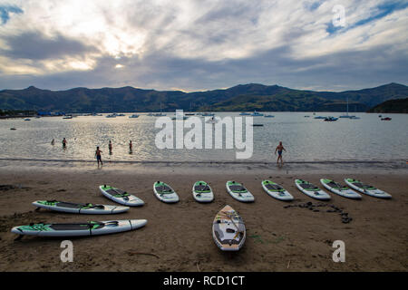 Akaroa, Canterbury, Nouvelle-Zélande - le 5 janvier 2019 : paddleboards sur la plage à Akaroa prêt à être embauchés par les touristes sur une chaude soirée d'été Banque D'Images