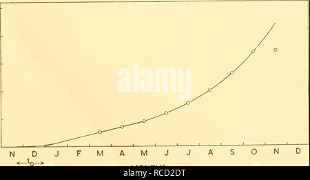 . Rapports de découverte. La découverte (navire) ; les expéditions scientifiques ; océan ; l'Antarctique, îles Falkland. ASONDJ &lt- FM ; o^^- MOIS Text-fig. 6. La croissance fœtale à longueur d'hémisphère sud rorqual à bosse, Megaptera novaeangliae. Les points sont des valeurs moyennes. Voir le texte d'explication. u u 5 4 - 3 - I 2 - z UJ. Mois Text-fig. 7. La croissance fœtale de longueur de l'hémisphère nord, le rorqual boréal (Balaenoptera borealis. Points représentent les moyennes mensuelles. discussion de bleu et le rorqual commun, la variabilité de la longueur du foetus mensuel est telle que la croissance fœtale pourrait être décrite par une série de phases différentes de linéaire Banque D'Images