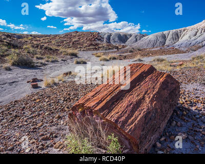 Le bois pétrifié sur les bûches géantes Trail, Parc National de la Forêt Pétrifiée, Arizona. Banque D'Images