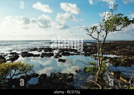 L'île de Pentecôte, Lavatmangguemu / Vanuatu - AVR 10 2016:côte à côté du village où les membres utilisés pour venir à Bath Banque D'Images