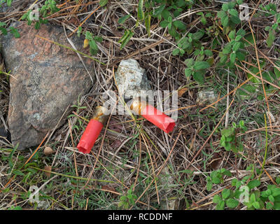 Deux balles de cartouches de chasse rouge (munitions ) à gauche sur la rez dans la forêt Banque D'Images