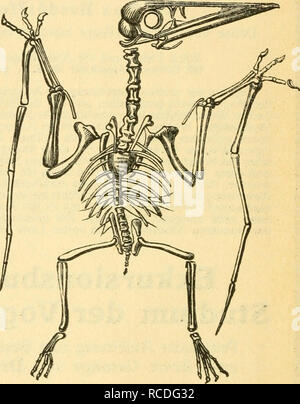 . Die Säugetiere Deutschlands : ihr Bau, ihre Lebensweise und ihre wirtschaftliche Bedeutung. Les mammifères. Verlag von Quelle &AMP ; dans Jlteter ftcip flbsfaiDtDungslebre^iQ die eine (gemeinperftänöltd^Darftellung fritifd e des Nations unies6^e Über" DFT ?t 6er rerfd^^eorien ieöenen ^j. Don Z&gt;v. p.5 oIution Defsenbenstl^^unb" eorie. 2lus 3bem ?TtI : ACI (Sefc^^^tlid id es. - ^ortpf(an3ung. - Syftematif. - Partabtiität. ^tpecfmä igfcit -^^Inpaffung unb. - Hatürlid^^fünftlid unb c c^tiraljl gud. - Unsmecfmäßigfeiten. ^uditwalii fcjucllc - mourir. Forrelatioen Dariationen - mourir. - ZtägcHfc DetüolÜommnungstt^c Die^eorie. - Di Banque D'Images