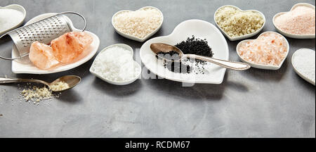 Affichage des différents frais sel culinaire dans un panorama bannière avec copie espace y compris le noir sel de Hawaï, l'Indus, la Fleur de sel, Flor da Banque D'Images