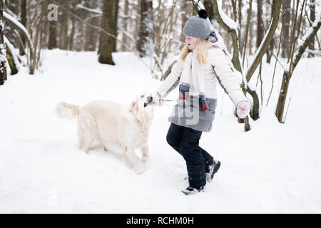 Animaux domestiques dans la nature - un beau golden retriever joue avec le propriétaire avec un bâton dans une forêt couverte de neige d'hiver Banque D'Images