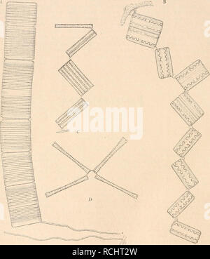 . Die Natürlichen Pflanzenfamilien nebst ihren Gattungen und Arten von den wichtigeren, Nutzpflanzen, unter Mitwirkung zahlreicher hervorragender begründet Fachgelehrten. La botanique. Fig. 45. VerschiedenekettenartigeColonien. Un gestielte, gerade Kette von Tahellaria Striatellu unipunc ()- tuta (Ag.) F. S., die ganzen Schalenflächen henachbarten Zellen sind der une gekittet einander. --Je ? Von Zickzackkette Grammatophora serpentina Ralfs, die Zellen haften mittelst Gallertpolster je mit einer Ecke un einander. - C ge- mischte und gerade, Zickzackkette Sternkette heide und D, von Diatoma tlong Banque D'Images