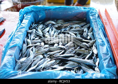 Sardines fraîches au marché de poissons traditionnels Banque D'Images