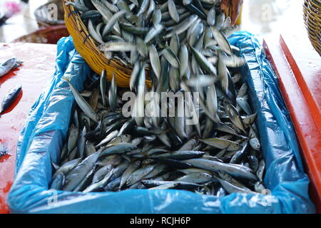 Sardines fraîches au marché de poissons traditionnels Banque D'Images