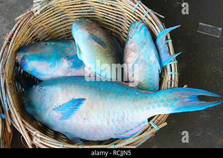 Poisson Perroquet Bleu frais au marché de poissons traditionnels Banque D'Images