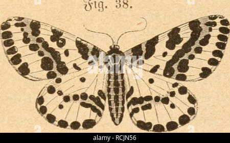 . Die Insekten nach ihrem Schaden und Verwalten. Les insectes nuisibles ; les insectes utiles. - 171 - être terimg§ (Sta(^ tcurbiifcfje «§§ lorferfi^ba cnbe Ungeziefer 5U^tüerben gebrai galle t !ann imb - ein §}fttämm^od( en üorau^- gefefet gefrfjitften §- bei einer abung anbf)être^^§ ®c irme nnb être§^ifenben fli (2ta6e§ fanm ein (Stiic ! Baneben mcrjrftcimmige üfcf fnKt ; 35e erforbern allerbinc ;)^§ forgfä etit)un§ iüieber(tigere nnb"^ot- te ?- '^ Mlopfen inbem nnter(, llmftänben ju Incle ber Farben neben*, beifallen^ l'iift 3beim"^^^^M c j"j'^''()^^ ^»^» j'f '^^^^ ^iibcrfeljen luerben alSbalb oben nnb n)une ieber Banque D'Images