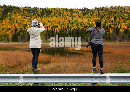Deux femmes photographie l'automne couleurs de woodland reflète dans l'eau sur la péninsule gaspésienne du Québec, Canada. Ils se tiennent sur une barrière. Banque D'Images