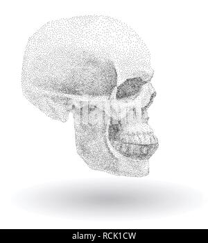 Crâne de profil sur fond blanc.. Simple Vecteur de points noirs sur fond blanc. Pointillisme numérique. Points l'ensemble en forme de crâne Illustration de Vecteur