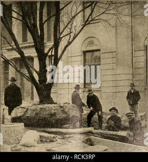 . Die Gartenwelt. Le jardinage. XVIII, 10 meurent Gartenwelt. 139 Pflanzweise durchzufÃ¼hren¤praktisch wÃ re, besonderen Wert high. KI. 45 f. 582 868. BlumenstÃ¼Tze. Ilse Herrlich, geb. Weiter Schreiber bespricht er den Wert der BodenernÃ DÃ¼ngung¤hrung und, Altena a. E. Angern. 28. 11. 13. anschlieÃend daran den Nutz- und Pflanzenbau. Im Kl. 45 f. 583 383. Industriel Treibhaus zur Behandlung von Pflanzen letzten Chapitre werden und Gartenkunst handelsgÃ¤rtnerische mit der KohlensÃ¤¤KohlensÃ ure un ureluftgemenge. Le Dr Erich ihren Betrieb dans Wechselbeziehungen geschildert, woran sich Être- Reinau, Banque D'Images