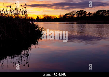Photographie de paysage couleur fin heures coucher du soleil reflétée dans l'eau sur le lac encore Hatchpond réserve naturelle, Poole, Dorset. Banque D'Images