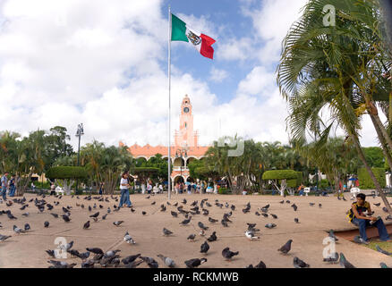 Mexique - 15 Jan 2007 : un drapeau mexicain avant le Palacio Municipal au Zocalo, Parc Merida Banque D'Images