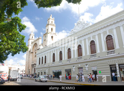 Mexique - Jan 15 2007 : la Cathédrale et Musée d'art moderne Museo MACAY encadrée par les feuilles des arbres, Merida Banque D'Images