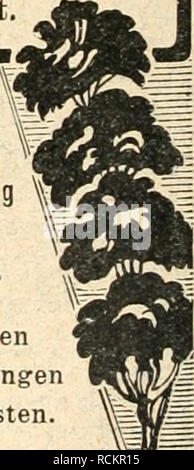 . Die Gartenkunst. Jardins de paysage ; -- l'Europe. man bittet bei Bestellungen sieb auf die Gartenkunst" zu être- zieben.. Veuillez noter que ces images sont extraites de la page numérisée des images qui peuvent avoir été retouchées numériquement pour plus de lisibilité - coloration et l'aspect de ces illustrations ne peut pas parfaitement ressembler à l'œuvre originale.. Deutsche Gesellschaft fr Gartenkunst. Wrzburg [etc. ] Selbstverlag der Deutschen Gesellschaft fr Gartenkunst [etc. ] Banque D'Images