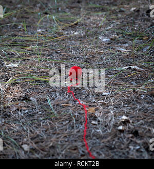 Petite boule de laine rouge dénoué au milieu de la forêt, le thread se trouve sur le chemin Banque D'Images