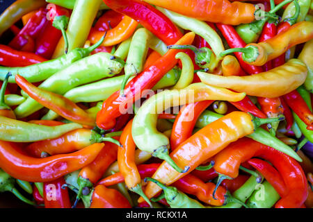 Le chili sur le marché. Poivrons multicolores Banque D'Images