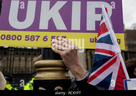 Le jour où le premier ministre Theresa peut a un sens Brexit vote dans le Parlement britannique, les électeurs de l'UKIP protester à l'extérieur de la Chambre des communes, le 15 janvier 2019, à Westminster, Londres, Angleterre. Banque D'Images