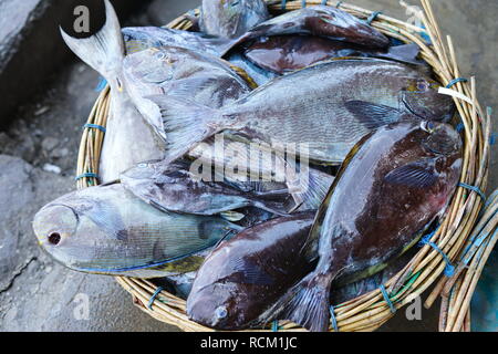 Poisson frais de lapin sur panier à traditionnel Marché aux poissons Banque D'Images