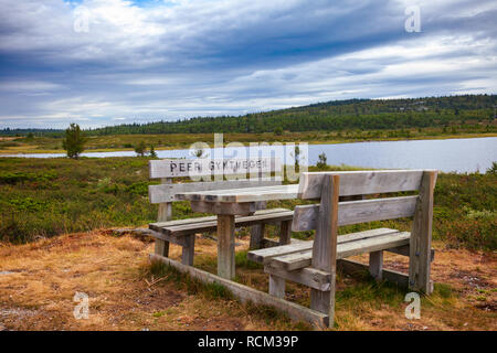 Table de pique-nique en bois avec gravée du nom de Peer Gynt Vegen, une route à péage de montagne touristique pittoresque nommé d'après le folk Peer Gynt dans Oppland Cou Banque D'Images