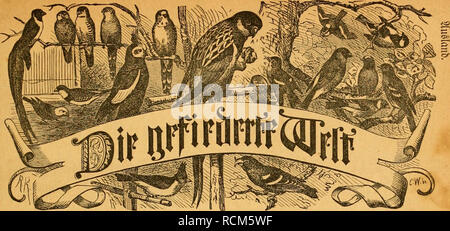 . Die Welt Gefiederte. Les oiseaux. 3citf(I)S^ögcllicbljaficr für du rift,  =3M]mib rct  =$änlilcL SSiftcIhiiuicn jebc biird) 33iicf ; = ^«ticrteliäbrlicf j") 1 Zhh. Jiiiinmev SBedjeiitlid ; eine. Jöcraiu^gegcbcii^r Dr tonne "arl ufj. N - 31, e i e n 3 iverben bie fem)jaltene «j !ettt.;Eile mit 25. berecfcuet SicftcUlingcninbcr imb ggr Sy) ebiticn inibKebaftieuciitgcfleiiäciuimmeii.'. m. Un rgattö ^^. ^crfitt, Ben 14 1874 poi.. Wt. 20. 3 n I) a l t : §ei(nng eine" 3afo. - Sfod ; einmal üOcr fiSiiftge latcrbeii^ bo §iirjef fiiinaricntögcl ber jungen (adjUiO)- - SS3c"t)alt) tmjen fi&gt ; (öiele Äcmavicnweitc^cn oliv Banque D'Images