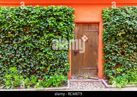 Photo d'une porte en bois peint en rouge, d'une maison envahie de lierre Banque D'Images