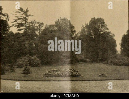 . Die Gartenwelt. Le jardinage. IAbies grandis im städt. Forstgarten zu Diedorf. *) Die Dresdener Dy- namitgesellschaft sendet Interessenten auf Wunsch die sehr interessante Bro- schüre hierüber.. Blick vom Schloss à Jettingen auf den Park (Pinus, le robinier, Fraxinus). 1. Vorführung. Lockerung des Untergrundes bei einem Baum, dessen Wurzeln infolge Festigkeit des Bodens sich nicht weiter ausbreiten können. Fünf um den Wurzelkranz gelegte 1 m tief Minen ä 1 Patrone wurden entzündet. Detonationen die waren dumpf zuhören, der sich auf etwas wellte Boden, doch ver- spürten wir ein Erschüttern des Erdr Banque D'Images