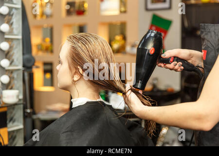 Cheveux teinture coiffure professionnel de son client dans le salon. Haircutter cheveux secs avec sèche-cheveux. Focus sélectif. Banque D'Images