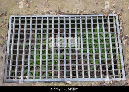 Voie navigable et road - graminées. fer grille d'écoulement d'eau dans jardin avec gazon terrain. Rusty acier grille dans le jardin avec gazon et béton. Couvercle de trou d'metal Banque D'Images