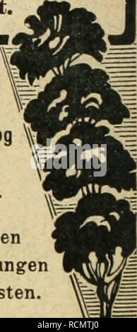 . Die Gartenkunst. Jardins de paysage ; -- l'Europe. Homme bittet bei Bestellungen sidi auf die Gartenkunst" zu beziehen.. Veuillez noter que ces images sont extraites de la page numérisée des images qui peuvent avoir été retouchées numériquement pour plus de lisibilité - coloration et l'aspect de ces illustrations ne peut pas parfaitement ressembler à l'œuvre originale.. Deutsche Gesellschaft fr Gartenkunst. Wrzburg [etc. ] Selbstverlag der Deutschen Gesellschaft fr Gartenkunst [etc. ] Banque D'Images