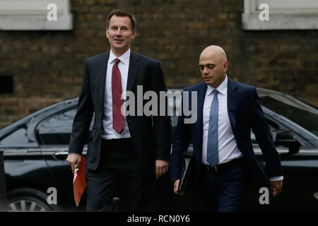 Londres, Royaume-Uni. 15 Jan, 2019. La secrétaire d'État aux Affaires étrangères et du Commonwealth Jeremy Hunt (L) et secrétaire d'accueil Sajid Javid arrivent pour une réunion du cabinet au 10 Downing Street à Londres, Grande-Bretagne, le 15 janvier. 2019. Un retard de l'un vote parlementaire le Brexit transaction est prévue pour le mardi. Crédit : Tim Irlande/Xinhua/Alamy Live News Banque D'Images