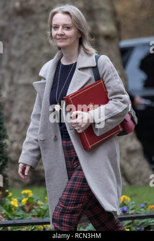 Londres, Royaume-Uni. 15 janvier, 2019. Les ministres arrivent pour la réunion hebdomadaire du cabinet au 10 Downing Street le jour de la "signifiante voix" du premier ministre sur l'Brexit Theresa peut traiter de retrait. Crédit : Guy Josse/Alamy Live News Banque D'Images