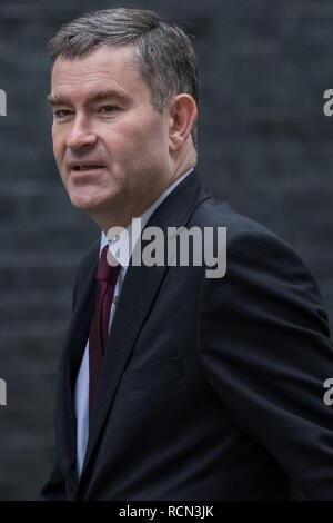 Londres, Royaume-Uni. 15 janvier, 2019. Les ministres arrivent pour la réunion hebdomadaire du cabinet au 10 Downing Street le jour de la "signifiante voix" du premier ministre sur l'Brexit Theresa peut traiter de retrait. Crédit : Guy Josse/Alamy Live News Banque D'Images