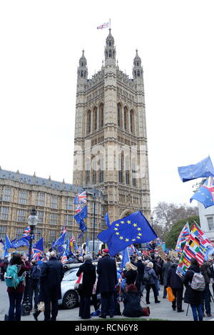 Londres, Royaume-Uni. 15 Jan 2019. Brexit manifestants devant les Chambres du Parlement, Londres (UK). Le mardi 15 janvier 2019. Credit : Jonathan Jones/Alamy Live News Banque D'Images
