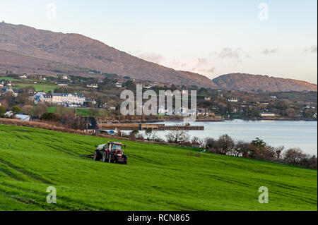 Schull, West Cork, Irlande. 16 janvier 2019. Un fermier local répandait du lisier sur son champ sous le regard de Schull et du Mont Gabriel. Met Eireann a mis en place un avertissement de vent jaune pour les comtés de Cork et Kerry de 12.00 à 17.00 aujourd'hui. Le vent atteindra une vitesse moyenne comprise entre 50 et 65 km/h avec des rafales pouvant atteindre 90 km/h. Crédit : AG News/Alay Live News Banque D'Images