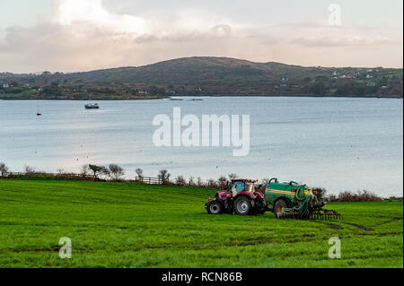 Schull, West Cork, Irlande. 16 janvier 2019. Un fermier local répandait du lisier sur son champ sous le regard de Schull et du Mont Gabriel. Met Eireann a mis en place un avertissement de vent jaune pour les comtés de Cork et Kerry de 12.00 à 17.00 aujourd'hui. Le vent atteindra une vitesse moyenne comprise entre 50 et 65 km/h avec des rafales pouvant atteindre 90 km/h. Crédit : AG News/Alay Live News Banque D'Images