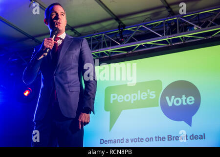 Londres, Royaume-Uni. 15 janvier, 2019. Le travail de Peter Kyle, député de Hove, adresses des militants pro-UE participant à un vote du peuple rassemblement à la place du Parlement en tant que députés de voter à la Chambre des communes le premier ministre Theresa May's final proposé Brexit accord de retrait. Credit : Mark Kerrison/Alamy Live News Banque D'Images