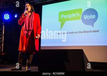 Londres, Royaume-Uni. 15 janvier, 2019. Jo Swinson, chef adjoint du Parti libéral-démocrate, adresses des militants pro-UE participant à un vote du peuple rassemblement à la place du Parlement en tant que députés de voter à la Chambre des communes le premier ministre Theresa May's final proposé Brexit accord de retrait. Credit : Mark Kerrison/Alamy Live News Banque D'Images