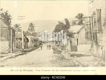 . Die Gartenwelt. Le Jardinage. j'^^^^^Ml Illustriertes Wochenblatt für den eesamten Gartenbau. Jahrgang IX. 24. Dezember 1904. N° 13. Xachdruck und Nachbildung aus dem Inhalt dieser Revue strafrechtlich verfolgt wird. Gärtnerische Reiseskizzen. Tropenfahrt Kiiie. Von Bernh. Othmer, KGL. Gatteninspektor, München. I. Nacli West-Indien und auf la Dominique. [Hierau drei Abbildungen.) iiu Vorjahre mir die von der Kgl. bayerisclien Akademie der Wissenschaften die Mittel für eine Informations- und die Tropen bewilligt dans Sammelreise. Es wurde von mir der seit vielen Jahren gehegte sehnliche Wun Banque D'Images