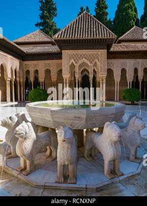 Lion en marbre fontaine et bassin d'albâtre, Palais des Lions, Palais Nasrides, Alhambra, Granada, Andalousie, Espagne Banque D'Images